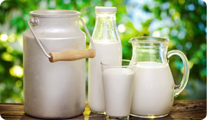 Milk Myths and Facts