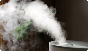 The Dangers of a Dirty Humidifier