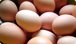 How to Crack an Egg Allergy