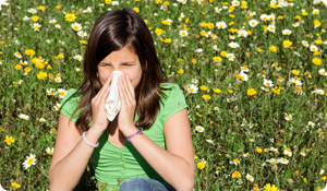 Seasonal Allergies That Won  t Go Away