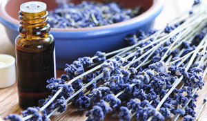 Aromatherapy for Cancer Symptoms
