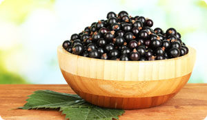Black Currant Breathing Benefits 