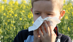 Why are Childhood Allergies so Common?