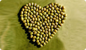 Soy Products May Help Lower Blood Pressure
