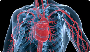 The Link Between Anemia and Heart Failure