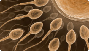 7 Ways to Strengthen Your Sperm