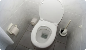 Toilet Seat Dermatitis is on the Rise