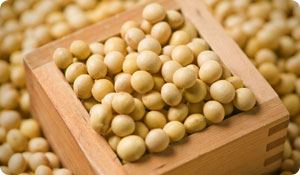 Working With Soy May Cause Occupational Asthma 
